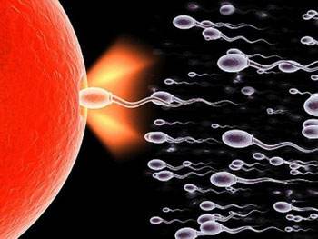 如何選擇最佳受孕時(shí)間？