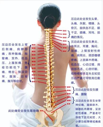 保護腰椎—示范腰椎保健操，趕快收藏吧