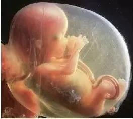 再也不用往返跑省城了，感謝醫(yī)生助我懷上了寶寶~~