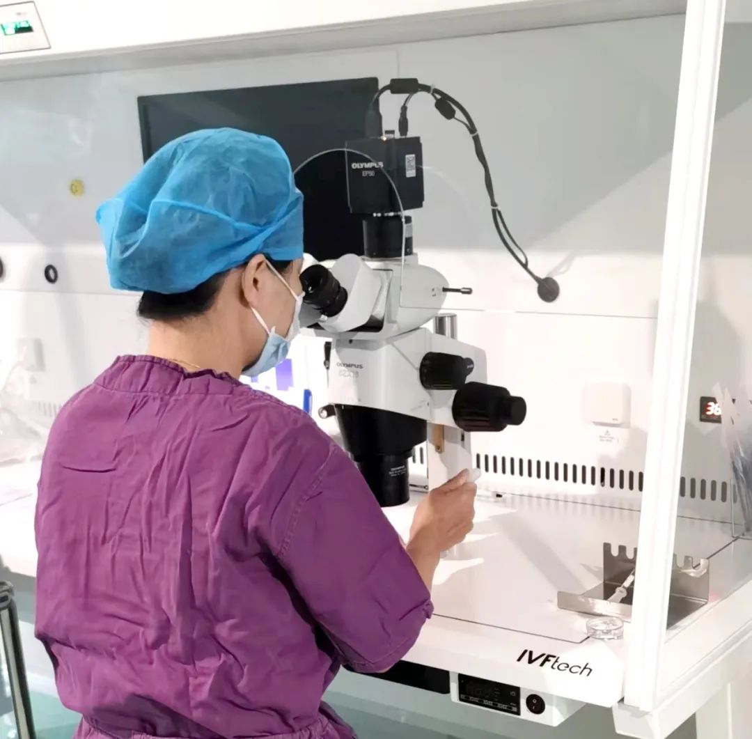 【喜訊】保山首例無精子癥通過試管嬰兒技術(shù)助孕成功！